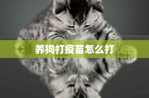 養狗打疫苗怎么打
