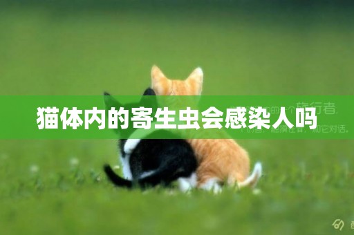 貓體內的寄生蟲會感染人嗎