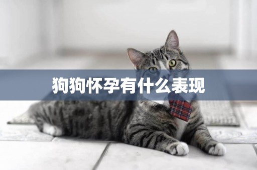 狗狗懷孕有什么表現