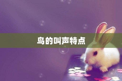 鳥的叫聲特點