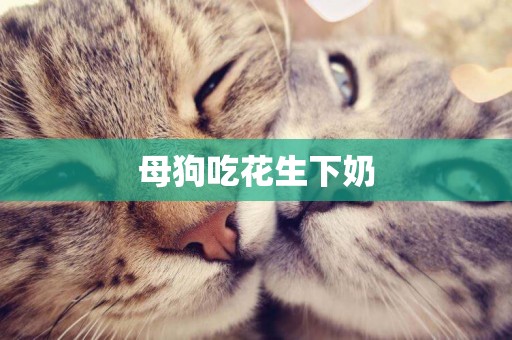 母狗吃花生下奶