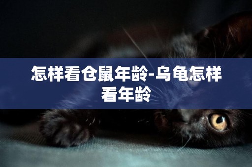怎樣看倉鼠年齡-烏龜怎樣看年齡