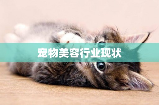 寵物美容行業現狀