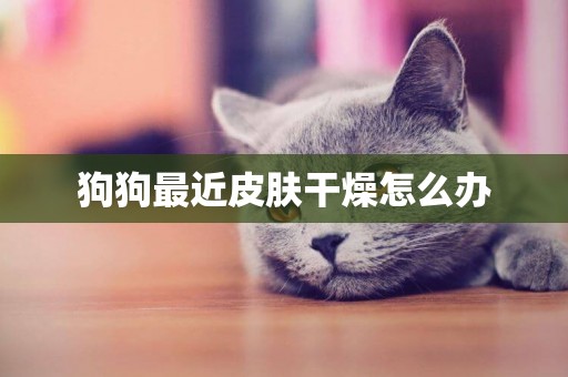 狗狗最近皮膚干燥怎么辦