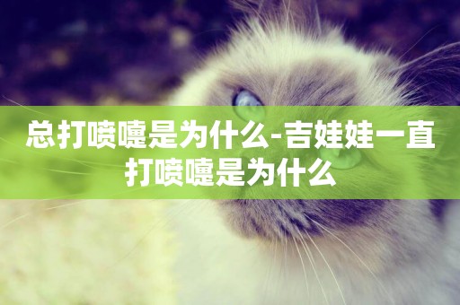 總打噴嚏是為什么-吉娃娃一直打噴嚏是為什么