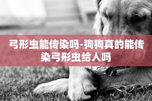 弓形蟲能傳染嗎-狗狗真的能傳染弓形蟲給人嗎