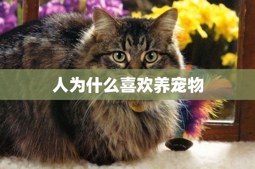 人為什么喜歡養寵物