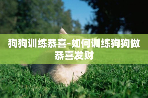 狗狗訓練恭喜-如何訓練狗狗做恭喜發財