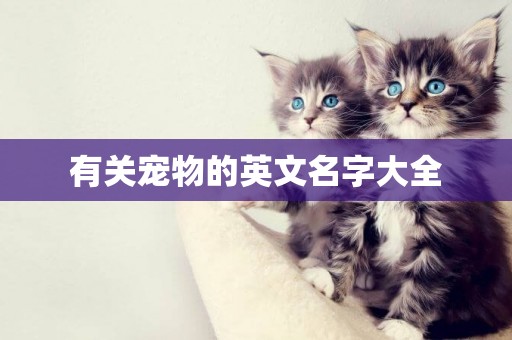 有關寵物的英文名字大全