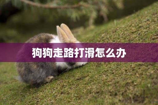狗狗走路打滑怎么辦
