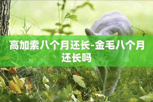 高加索八個月還長-金毛八個月還長嗎