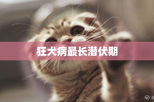 狂犬病最長潛伏期