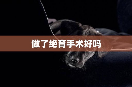 做了絕育手術好嗎