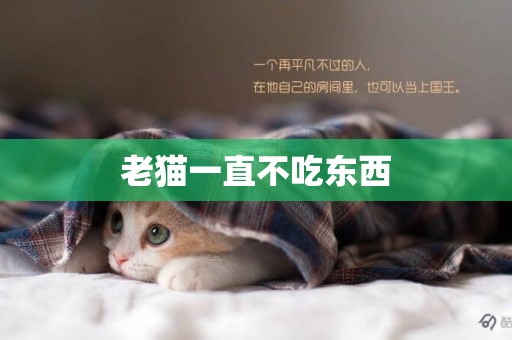 老貓一直不吃東西