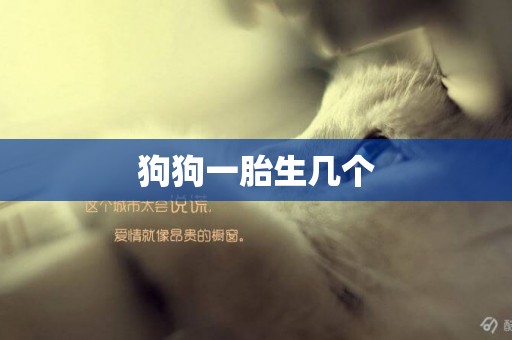 狗狗一胎生幾個
