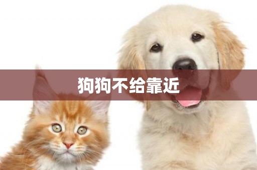 狗狗不給靠近