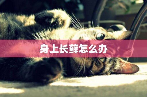 身上長蘚怎么辦