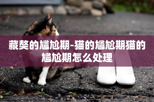 藏獒的尷尬期-貓的尷尬期貓的尷尬期怎么處理