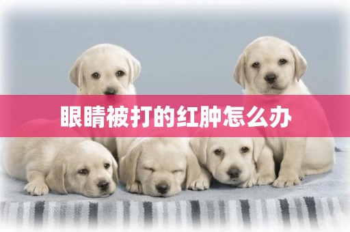 眼睛被打的紅腫怎么辦