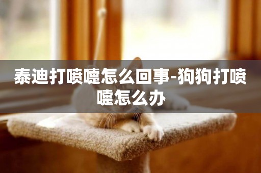 泰迪打噴嚏怎么回事-狗狗打噴嚏怎么辦