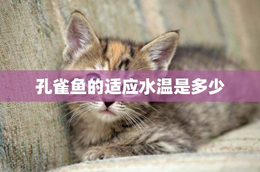 孔雀魚的適應水溫是多少