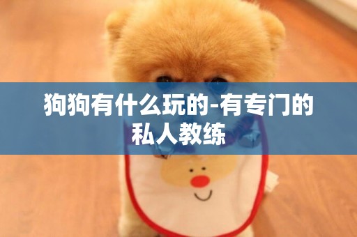 狗狗有什么玩的-有專門的私人教練