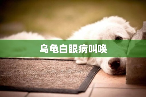 烏龜白眼病叫喚