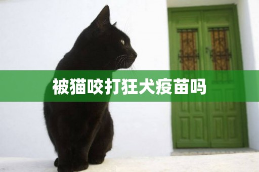 被貓咬打狂犬疫苗嗎