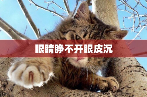 眼睛睜不開眼皮沉