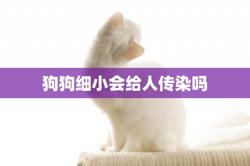 狗狗細小會給人傳染嗎