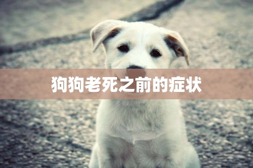狗狗老死之前的癥狀