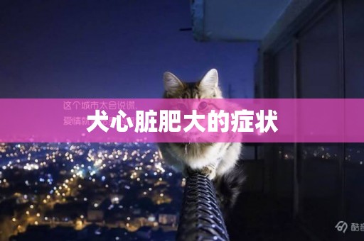 犬心臟肥大的癥狀