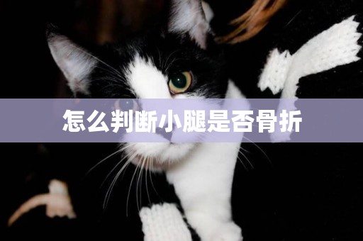 怎么判斷小腿是否骨折