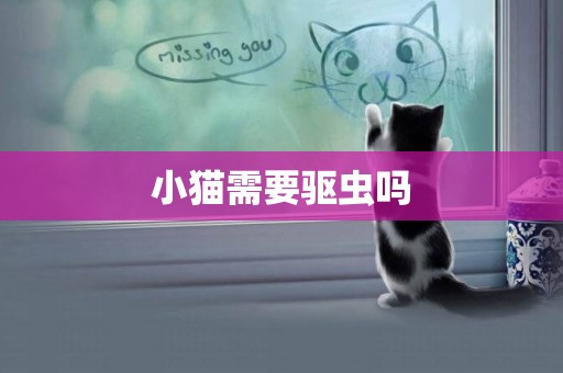 小貓需要驅蟲嗎