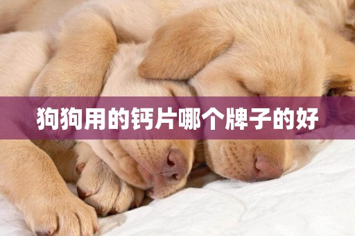 狗狗用的鈣片哪個牌子的好