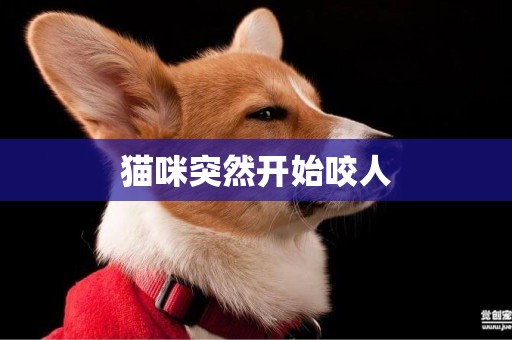 貓咪突然開始咬人