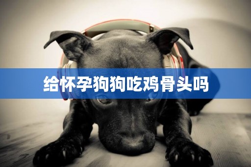 給懷孕狗狗吃雞骨頭嗎