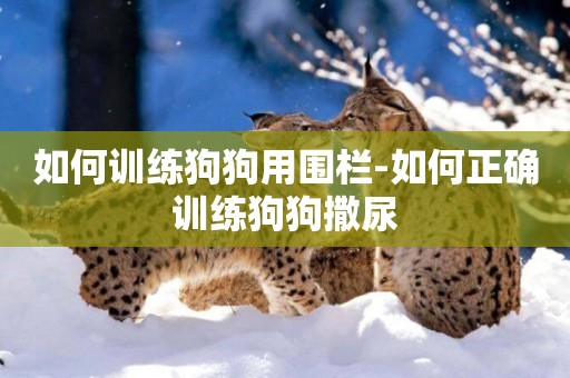 如何訓練狗狗用圍欄-如何正確訓練狗狗撒尿