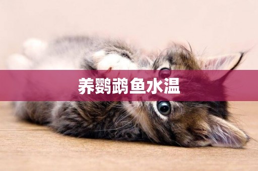 養鸚鵡魚水溫