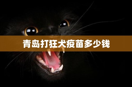 青島打狂犬疫苗多少錢