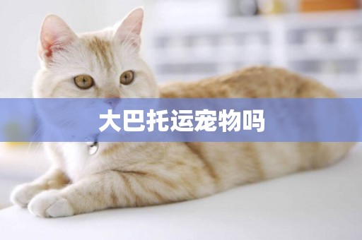 大巴托運寵物嗎