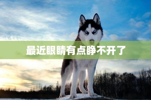 最近眼睛有點睜不開了