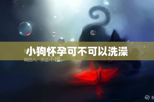 小狗懷孕可不可以洗澡