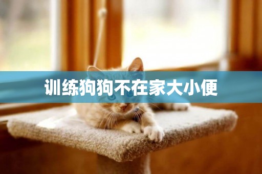 訓練狗狗不在家大小便