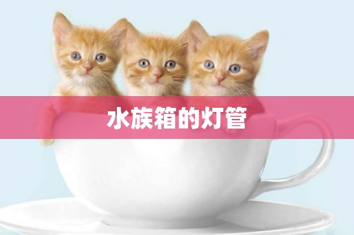 水族箱的燈管