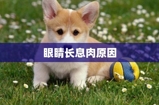 眼睛長息肉原因