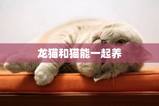 龍貓和貓能一起養