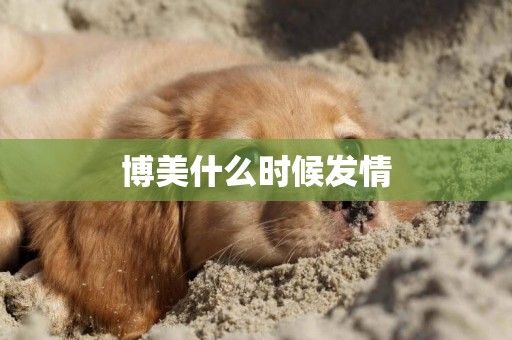 博美什么時候發情