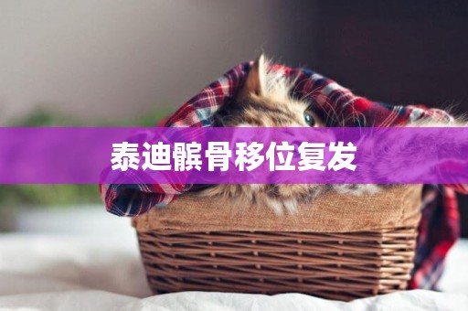 泰迪髕骨移位復發