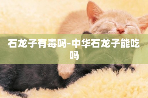 石龍子有毒嗎-中華石龍子能吃嗎